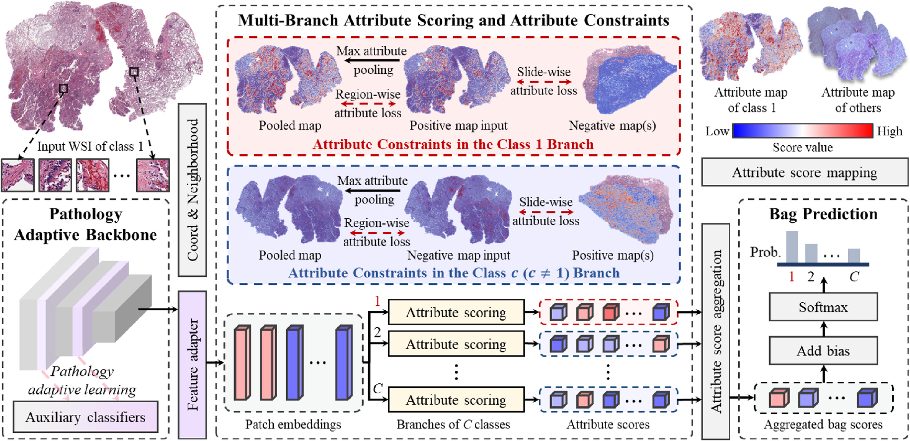 提出的 AttriMIL 概述。