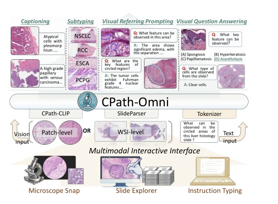 CPath-Omni:方法相关图示