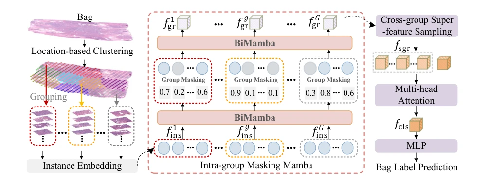 GMMamba：方法相关图示
