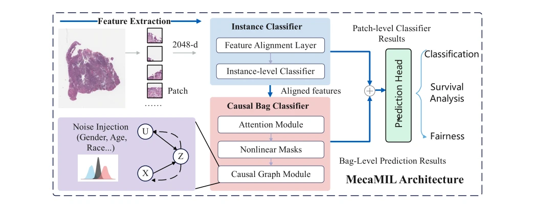 MeCaMIL:方法相关图示