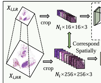 image-20250609211122283